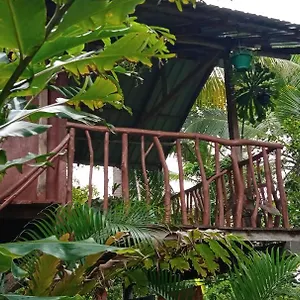 Gospodarstwo agroturystyczne Sigiri Panaromic Tree House Sri Lanka