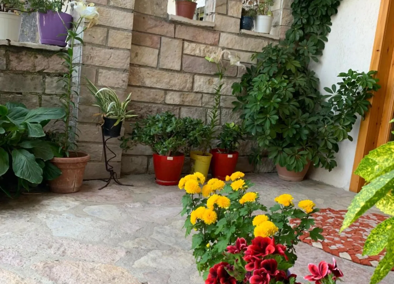 Kubeja Guest House Gjirokaster Holiday home